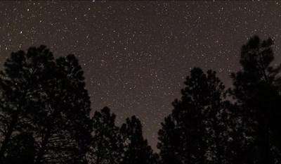 lt= Silhouetted trees frame this starry night sky view