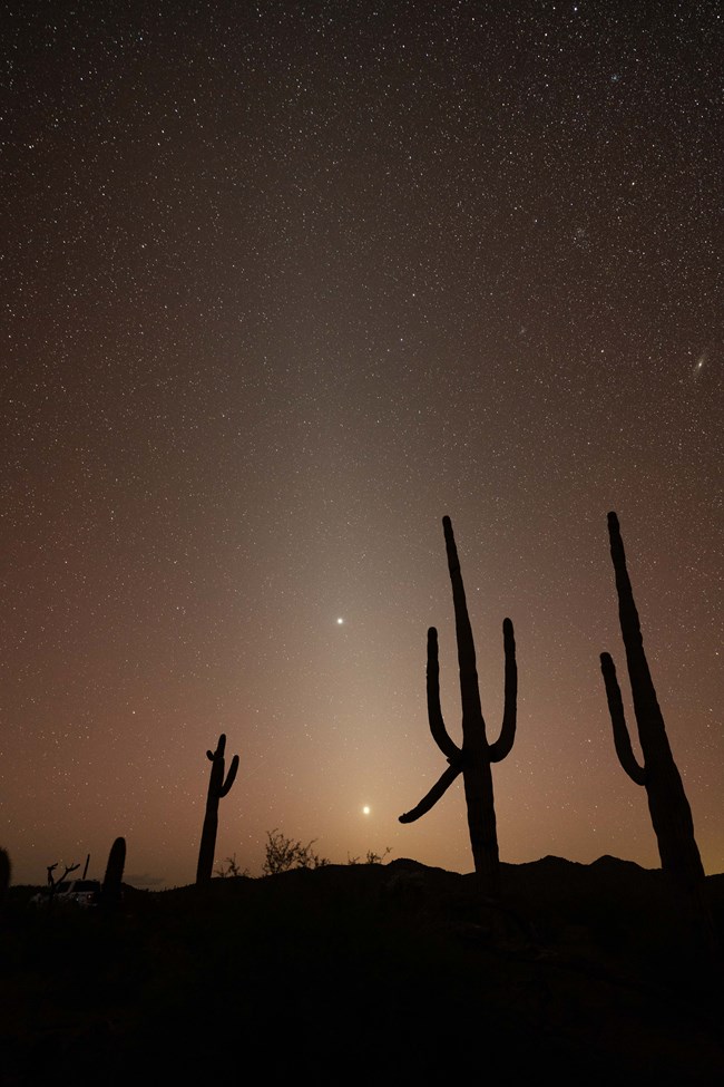Natural zodiacal light over Organ Pipe Cactus National Monument