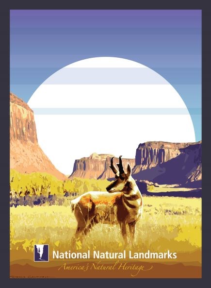 Graphic artwork of pronghorn antelope standing in yellow grass with mountains and sun in background