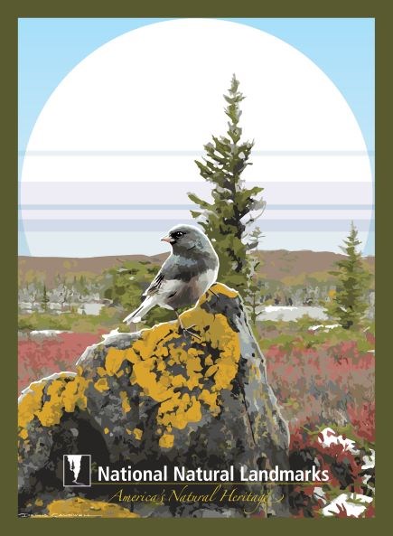 Graphic artwork of bird on lichen covered rock with tree and sun in background