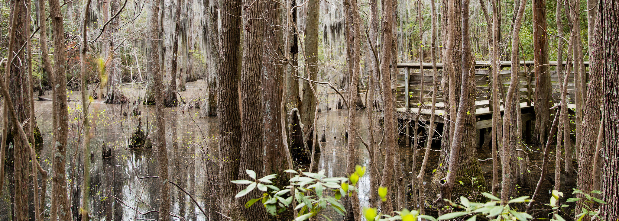 Multimedia National Natural Landmarks (U.S. National Park Service)