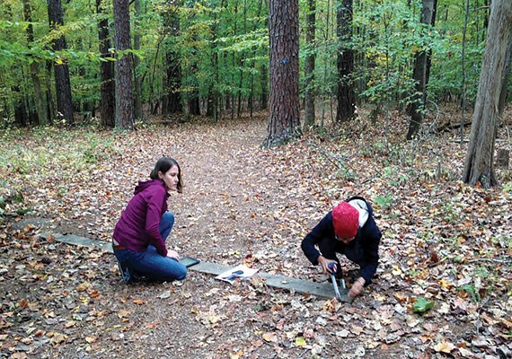 Trail assessors use calipers to check the width of a waterbar.