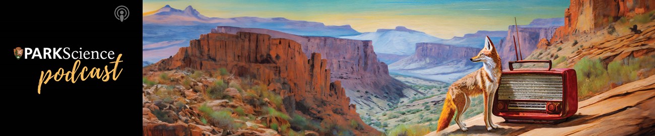 The Park Science Podcast, Episode 2: Tuning in to Science: How to Reach Remote Communities through Radio The Park Science logo, with the word "podcast" written in gold on a black background. Next to it is a painting of a U.S. southwestern landscape with an old radio next to a coyote.