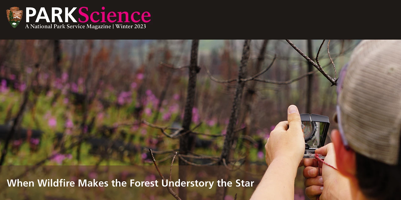 Winter 2023 Issue cover The Park Science logo on a black background and a picture of a woman in a ball cap with her head to the camera holds up an instrument in front of her face as she looks at a blurred landscape with burned twigs, green vegetation and purple flowers.