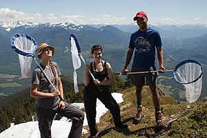 A team of butterfly researchers stand atop a mountain in North Cascades National Park.