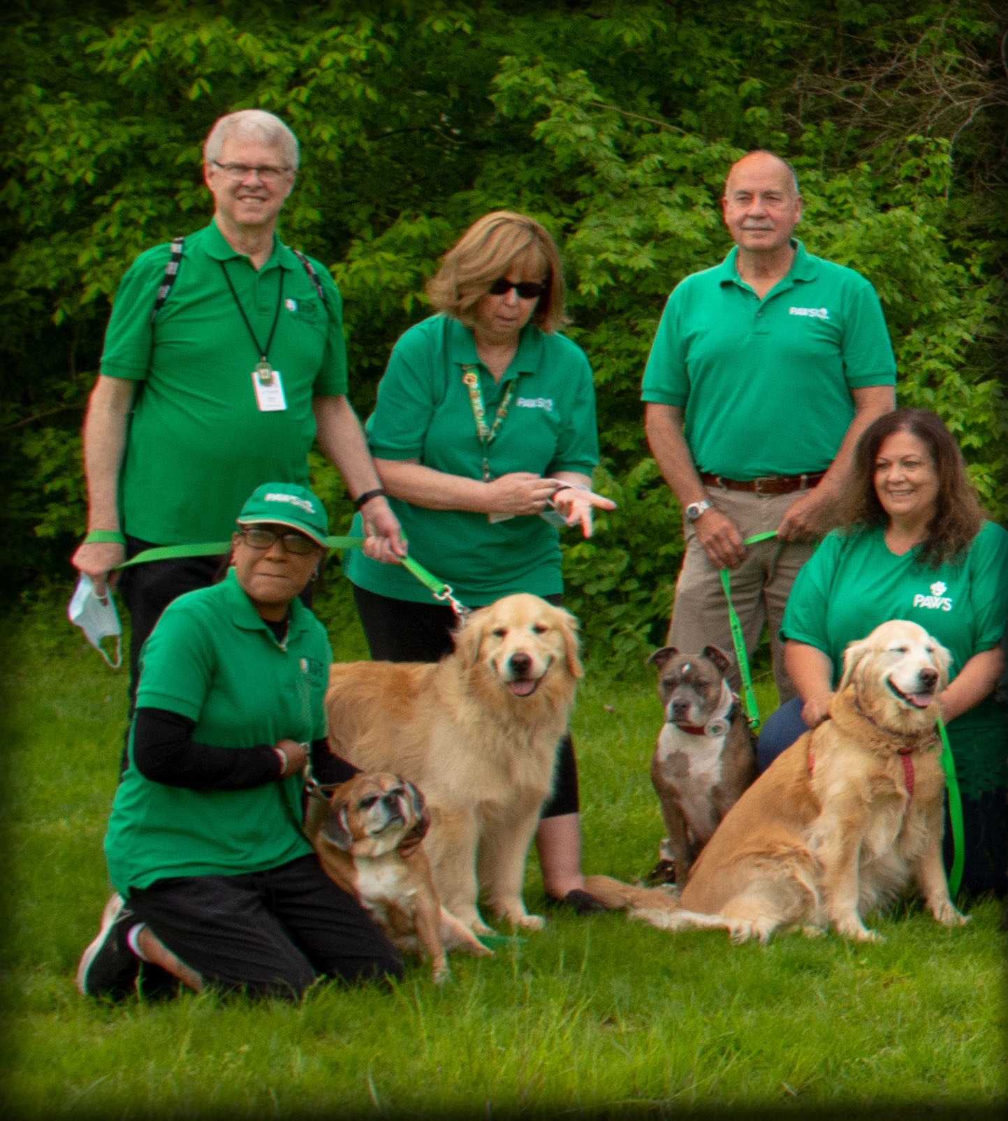 Working Like a Dog: See How Pups Help Park Rangers in These 12 Unusual Jobs  · National Parks Conservation Association