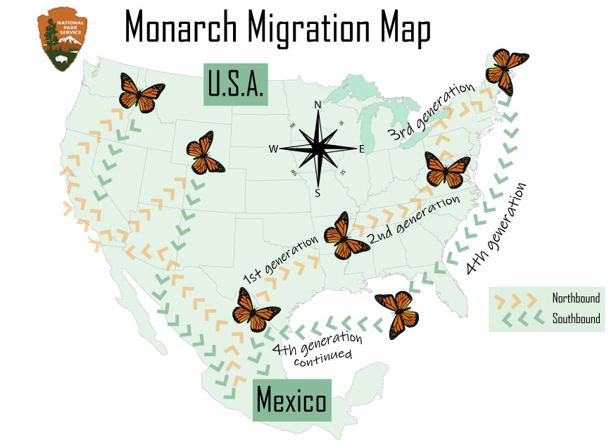 Monarch Migration Route Map