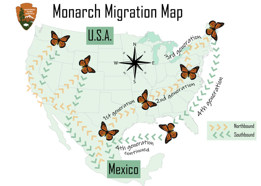 Continental Nomads Monarch Butterflies Pollinators U S National   Migration Map1 