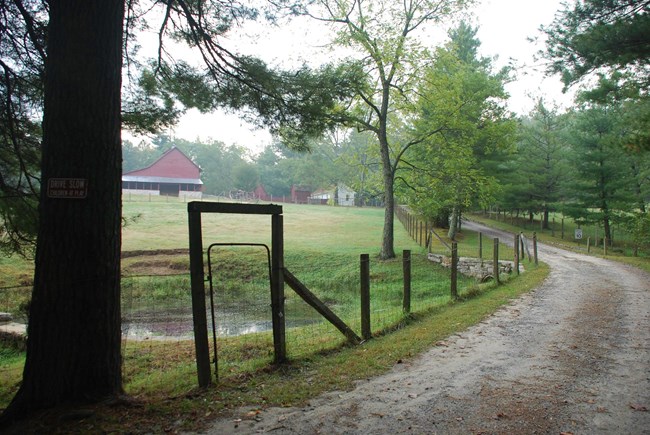 CARL Dirt road and fence leading to a historic farmstead in the woods