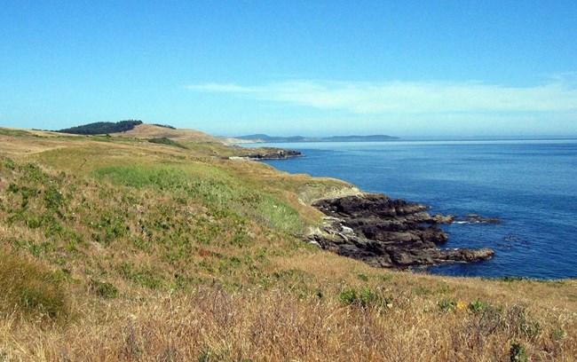 Mount Finlayson from the Bluff Walks in American Camp. Rocky coastline covered in grass beside blue ocean.