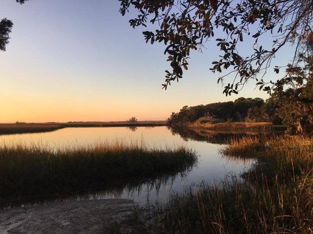 Sunset on the south end of Fort George Island. Pond surrounded by tall grasses and trees.