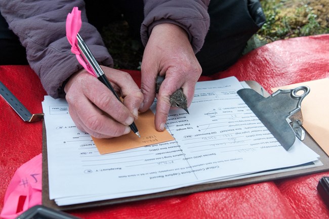 a woman holding a bird in one hand and writing notes on a clipboard with the other