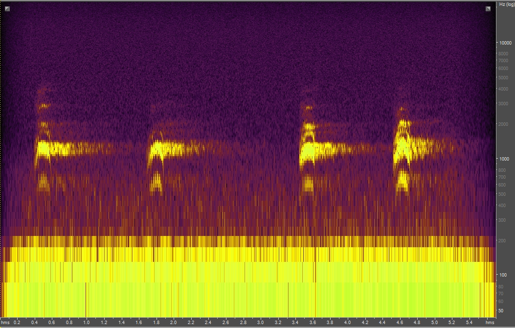 Sound Gallery — Peregrine and Raven - Natural Sounds (U.S.