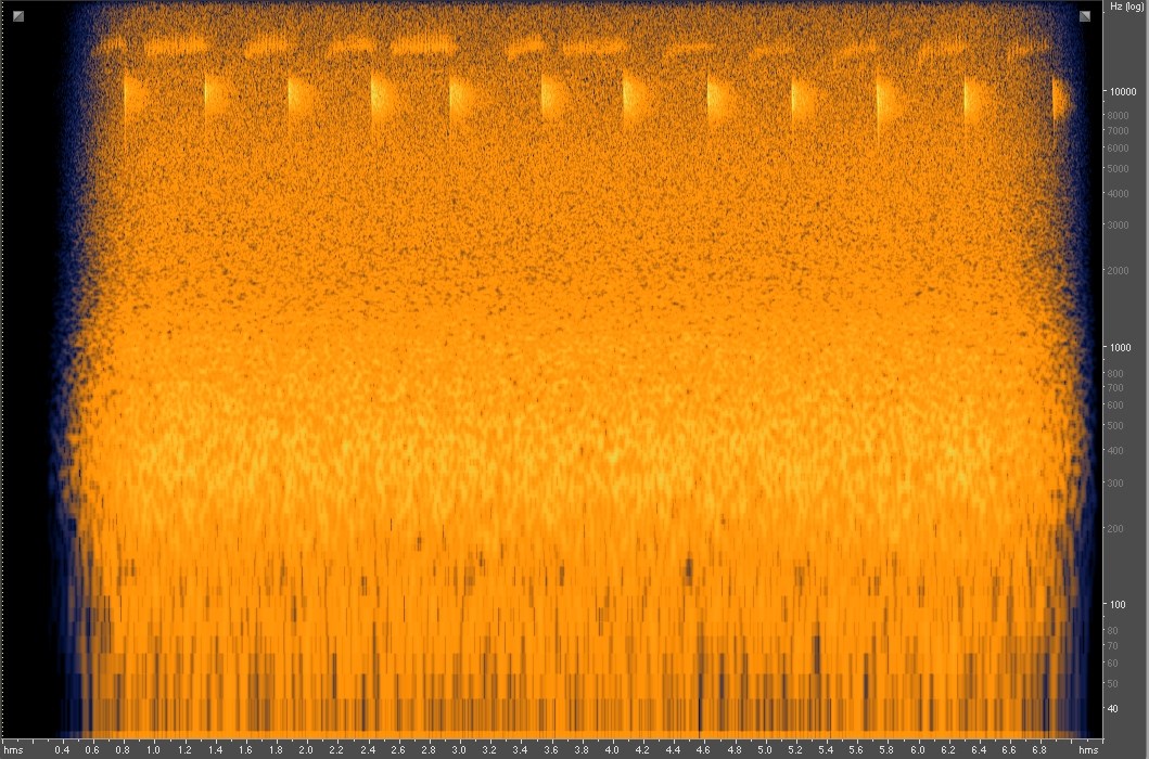 Spectrogram shows sound waves of a spotted bat's call