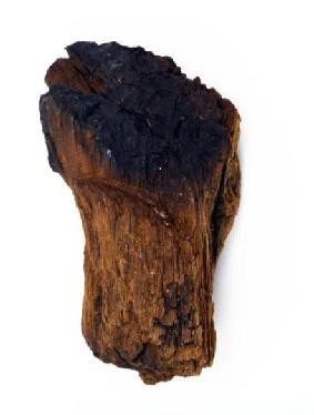 Wood Artifact (possible pole)