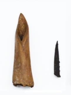 Socketed bone point with wood shaft
