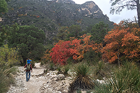 Hiking Is an Excellent, Accessible Form of Exercise—Here's How to