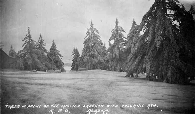 Volcanic_ash_near_Kodiak_from_the_June_1912_Katmai_Volcano_eruption_(AL+CA_1112) Trees near Kodiak, Alaska covered in ash from the 1912 eruption of Novarupta-Katmai, Katmai National Park and Preserve.