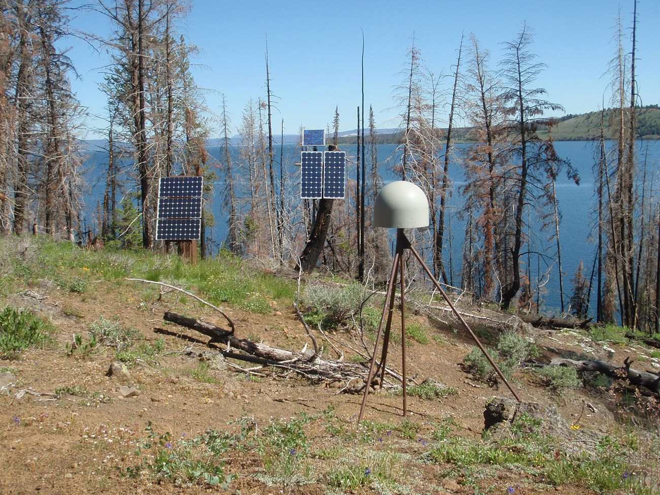 Photo of a GPS monitoring station on a forest slope above a large lake.