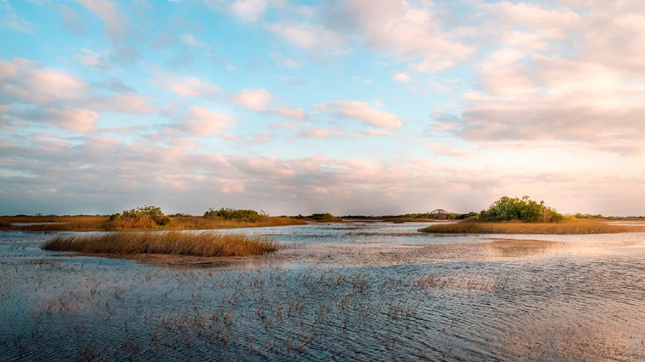 Shark River Slough a wetland at sunrise with pastel colors in the sky