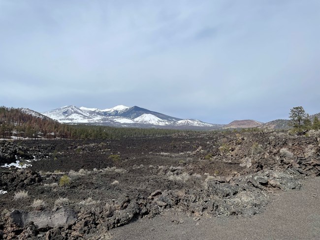 A landscape view of a volcanic cinder field and a dormant basalt lava flow with snow capped mountains in the background.