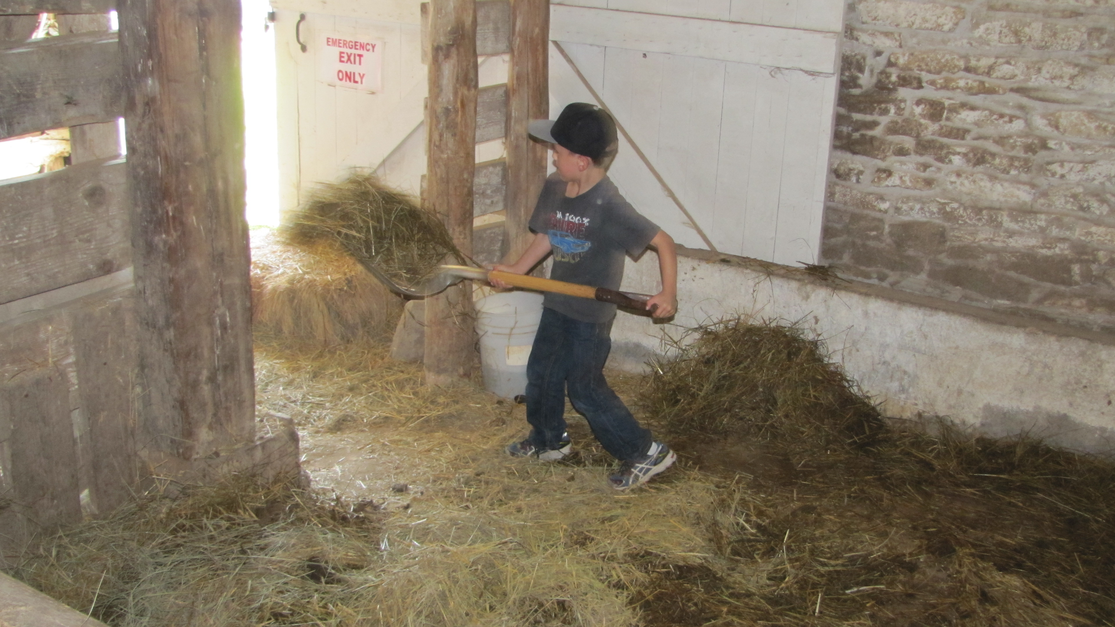 Child cleaning out the dirty hay and manure as part of kid's activities.