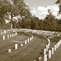 field of small rectangular headstones