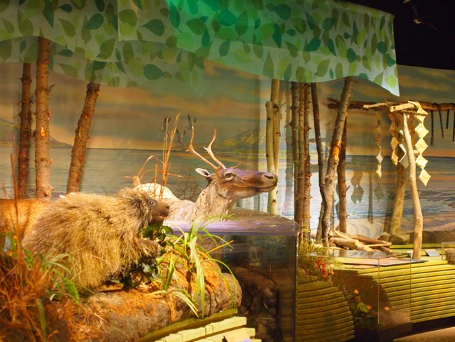 Heritage Center exhibits of porcupine, caribou, and more.