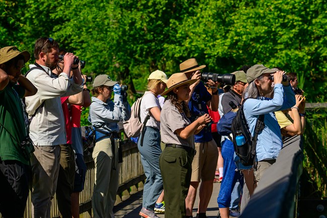 A large group of people are walking on a boardwalk. They are looking through binoculars into the distance.