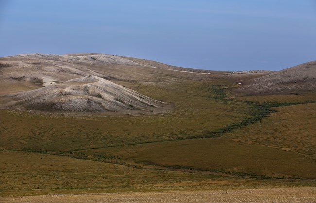 Lush tundra landscape with rolling hills in the distance from the top of Radio Hill.