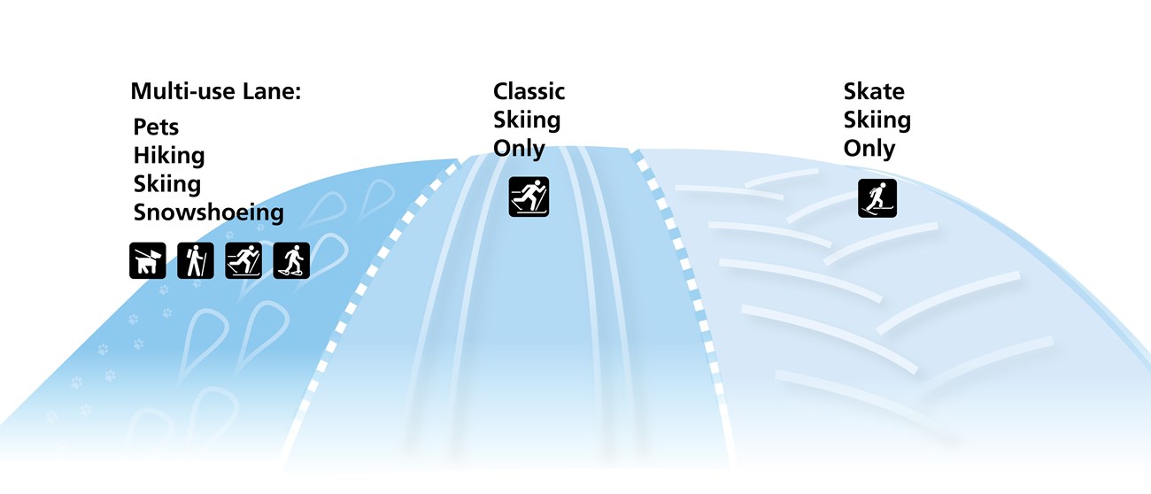 Ski Lanes Graphic