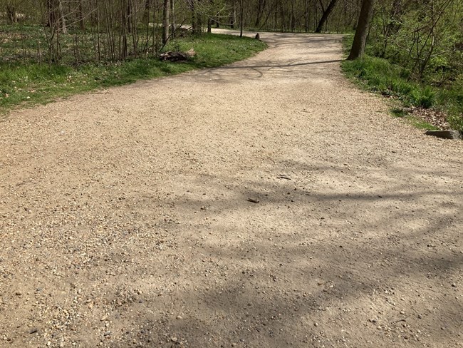 An image of a gravel trail.
