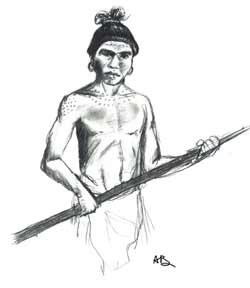 Artist's rendition of a Timucuan man, by Ashleigh Boice