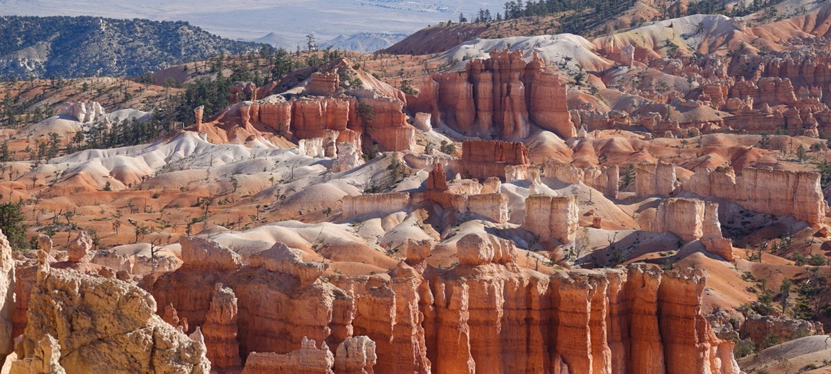 1-3 hours A sloping area of red rock formations interspersed with trees.