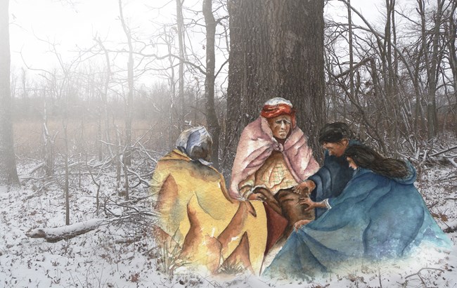 An illustration of people huddled together with blankets for warmth, on a picture of a tree in the woods.