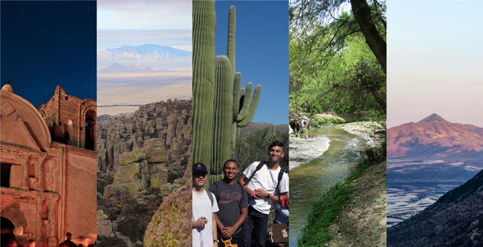 collage of national park environments including saguaro, landscape, river, mission