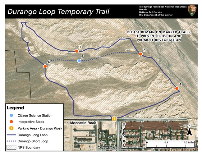 A map of the durango loop temporary trail, showing a short and long loop, and 4 interpretive stops. "Please stay on marked trails to promote revegetation and prevent erosion".