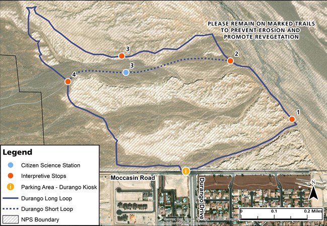 Durango Loop Trail A loop trail bisected by a trail following a desert wash. There are four interpretive stops labeled on the map.