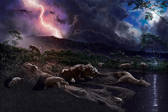 Two sabertooth cats groom each other after a successful hunt at nighttime. A coyote chases a rabbit, and small mammals emerge from their burrows in the rain. A stream and plants are nearby.