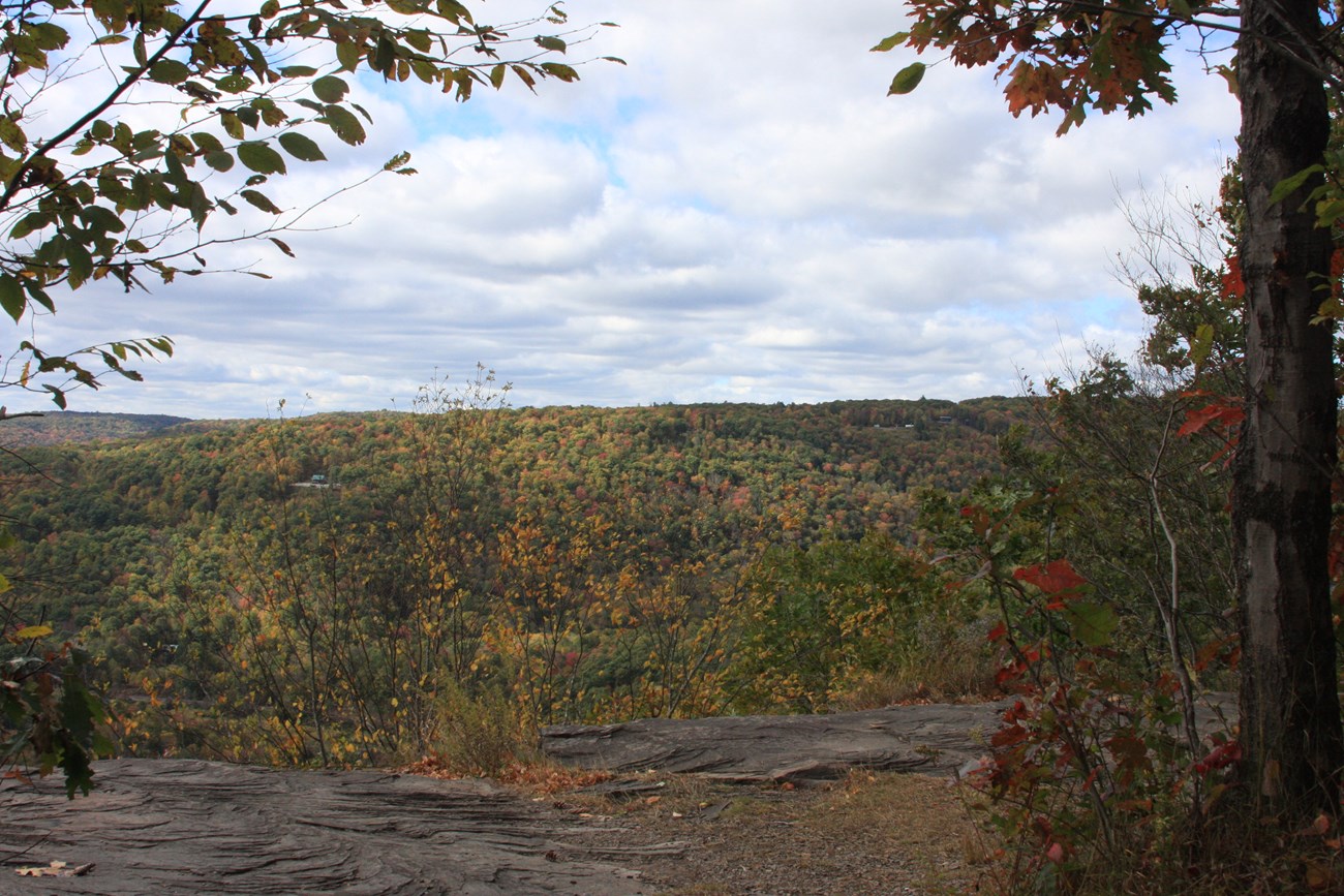 view of forested valley in fall colors from high, rocky overlook. River winds through valley. Four houses, far apart, are tucked behind trees in the forest.