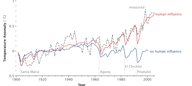 Reconstructions of global temperature that include greenhouse gas increases and other human influences.