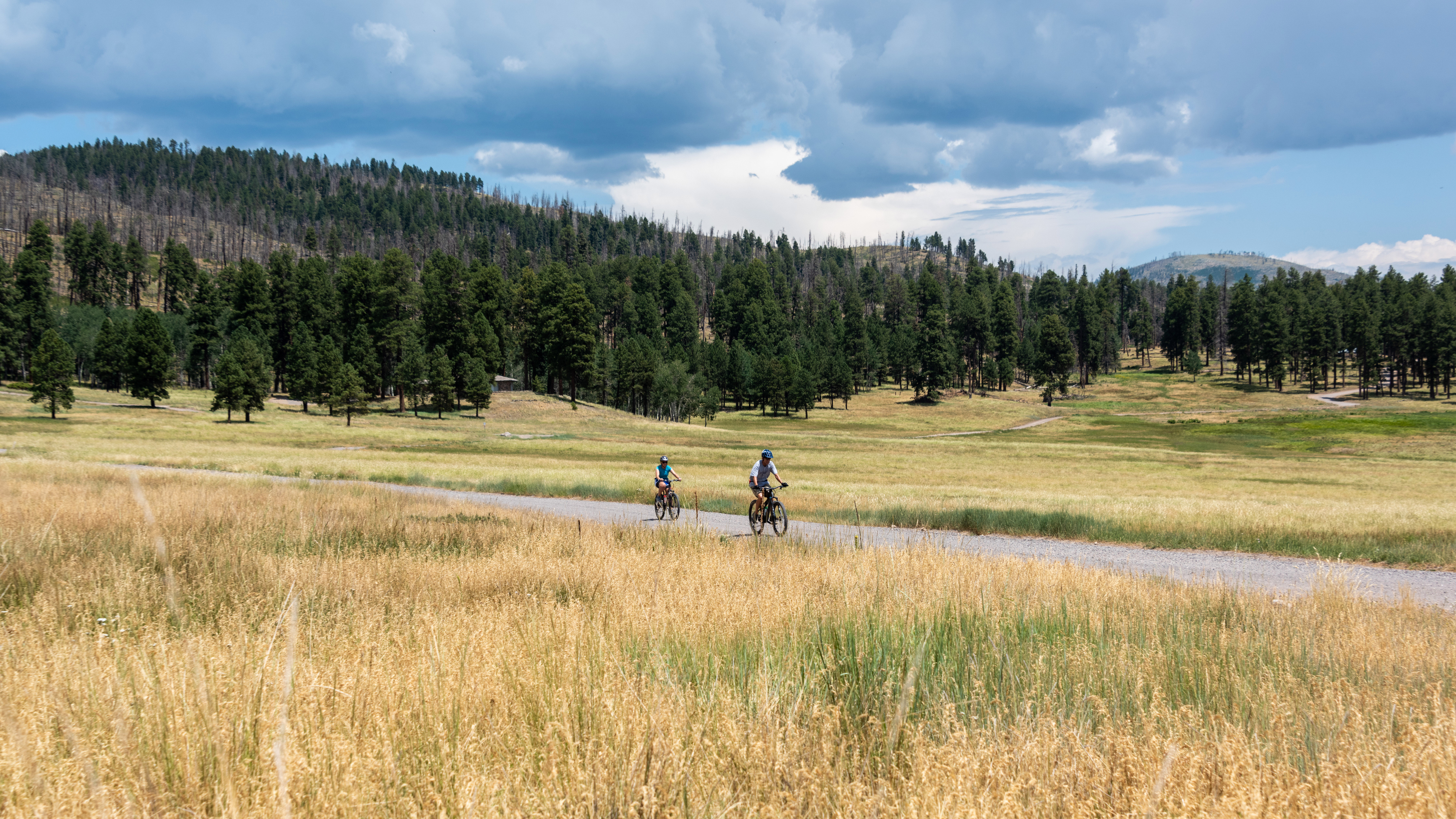 Two visitors riding bikes along a path crossing a grassland.