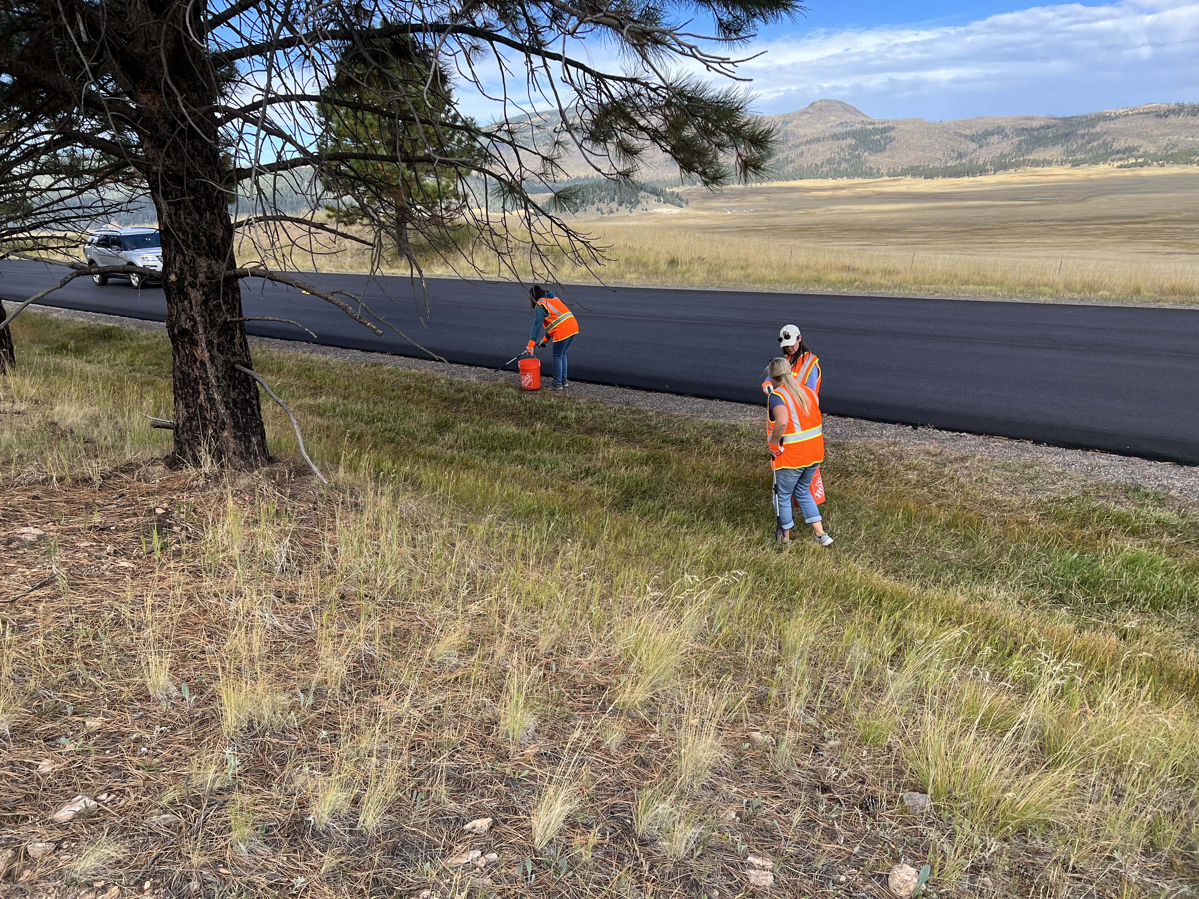 Volunteers wearing bright orange safety vests walking along a road and picking up trash.