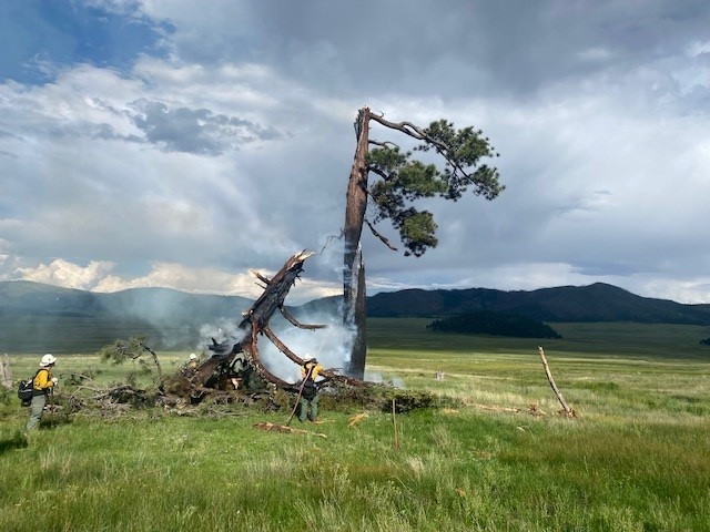 Firefighters monitor a tree that caught on fire after being struck by lightning.