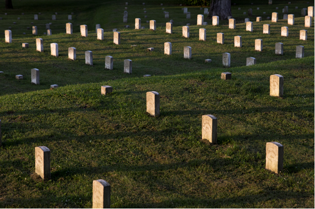 white military headstones in a green grassy field
