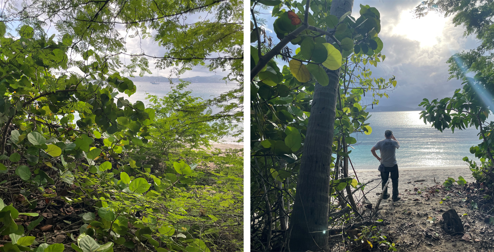 Caneel Beach path before and after