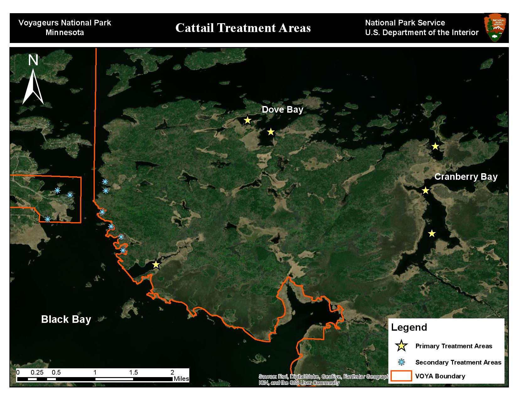 A map of the park showing cattail primary and secondary treatment areas.  Spots in Dove Bay and Cranberry Bay are shown as primary treatment areas.