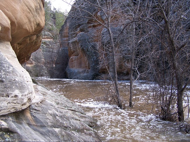 A creek with brown water running through a small canyon.
