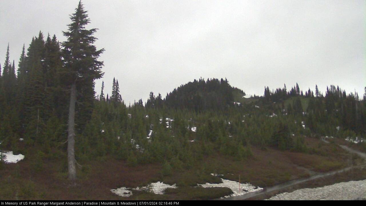 Washington mountain pass webcams