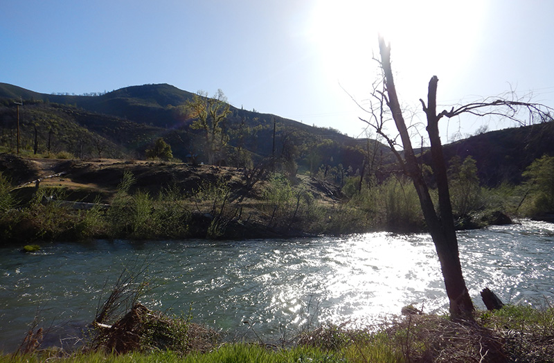 View of Clear Creek within the Tower House Historic District